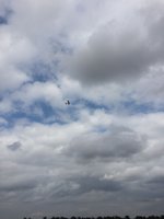 IMG_9430.JPG