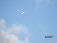 IMG_9307.JPG