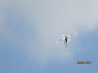 IMG_9318.JPG