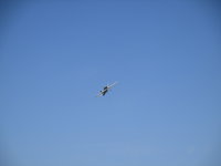 IMG_6548.JPG