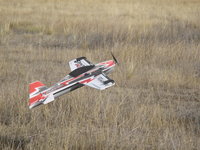 IMG_6572.JPG