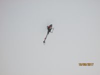 IMG_9451.JPG