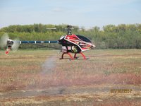 IMG_9699.JPG