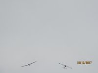 IMG_9876.JPG