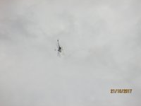 IMG_9960.JPG