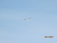IMG_9994.JPG