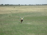 IMG_0430.JPG