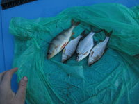 IMG_5705.JPG