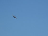 IMG_5829.JPG