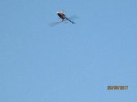 IMG_9128.JPG