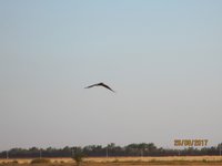IMG_9111.JPG